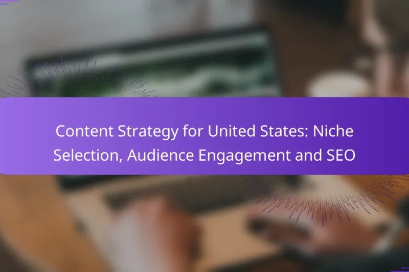 Content Strategy for United States: Niche Selection, Audience Engagement and SEO