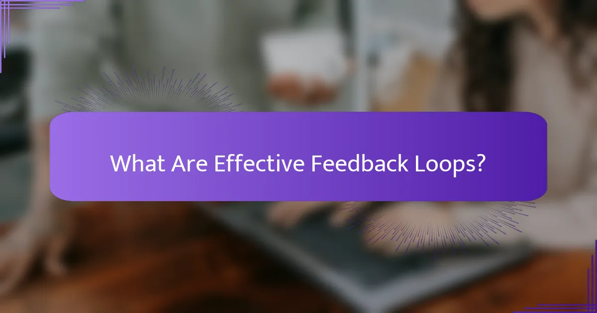 What Are Effective Feedback Loops?