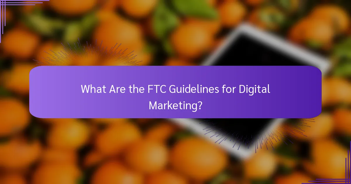 What Are the FTC Guidelines for Digital Marketing?