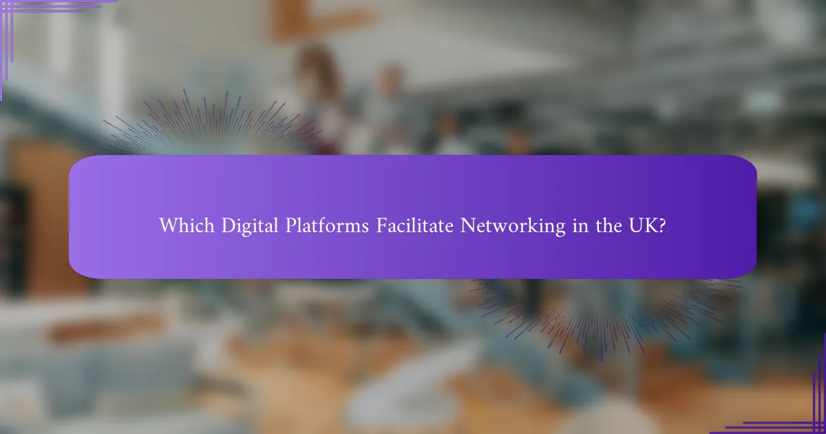 Which Digital Platforms Facilitate Networking in the UK?
